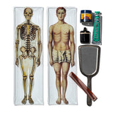 PRINTED GLASS TRAY / Skeleton, Body