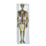 PRINTED GLASS TRAY / Skeleton, Body