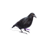ARTIFICIAL BIRDS Crow / Small