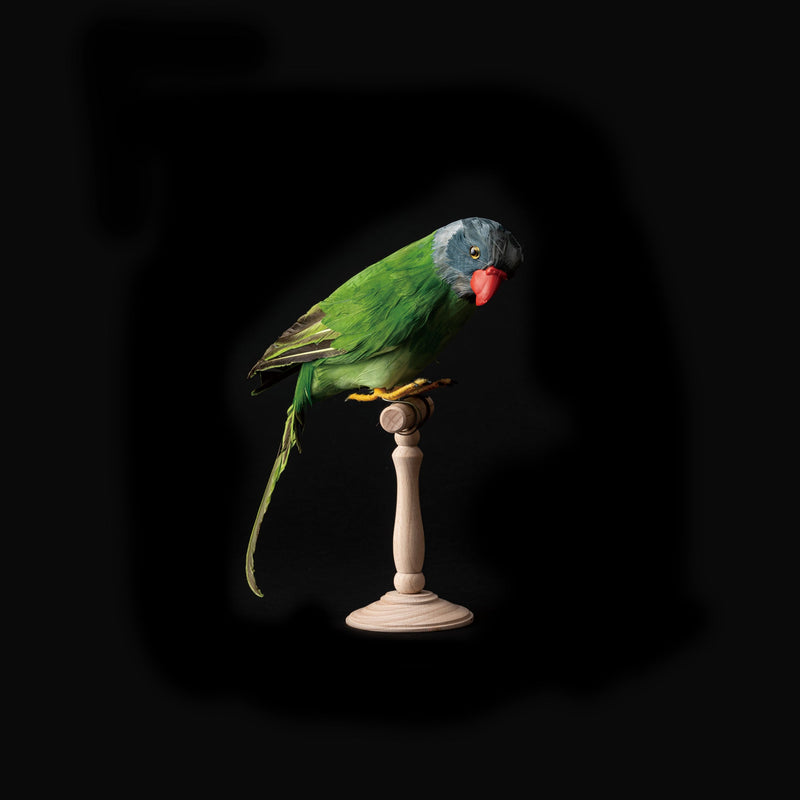 ARTIFICIAL BIRDS Green Parrot