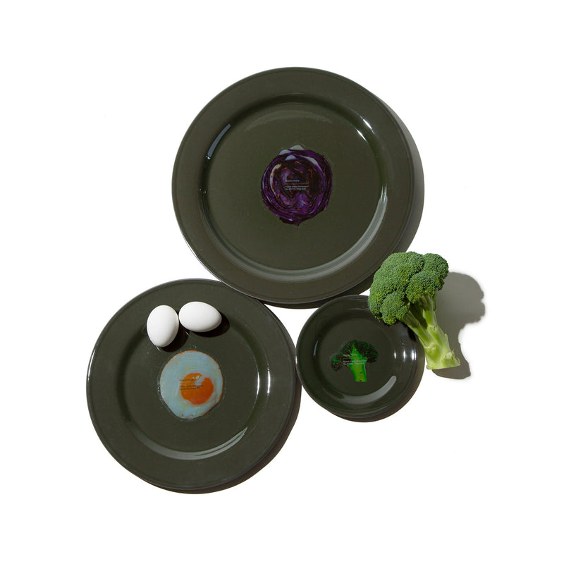 FOREST GREEN DINNERWARE Plate / ø33